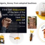 Такеда България осинови пчелни кошери и екипът на компанията вече наброява над "+120 019" служители