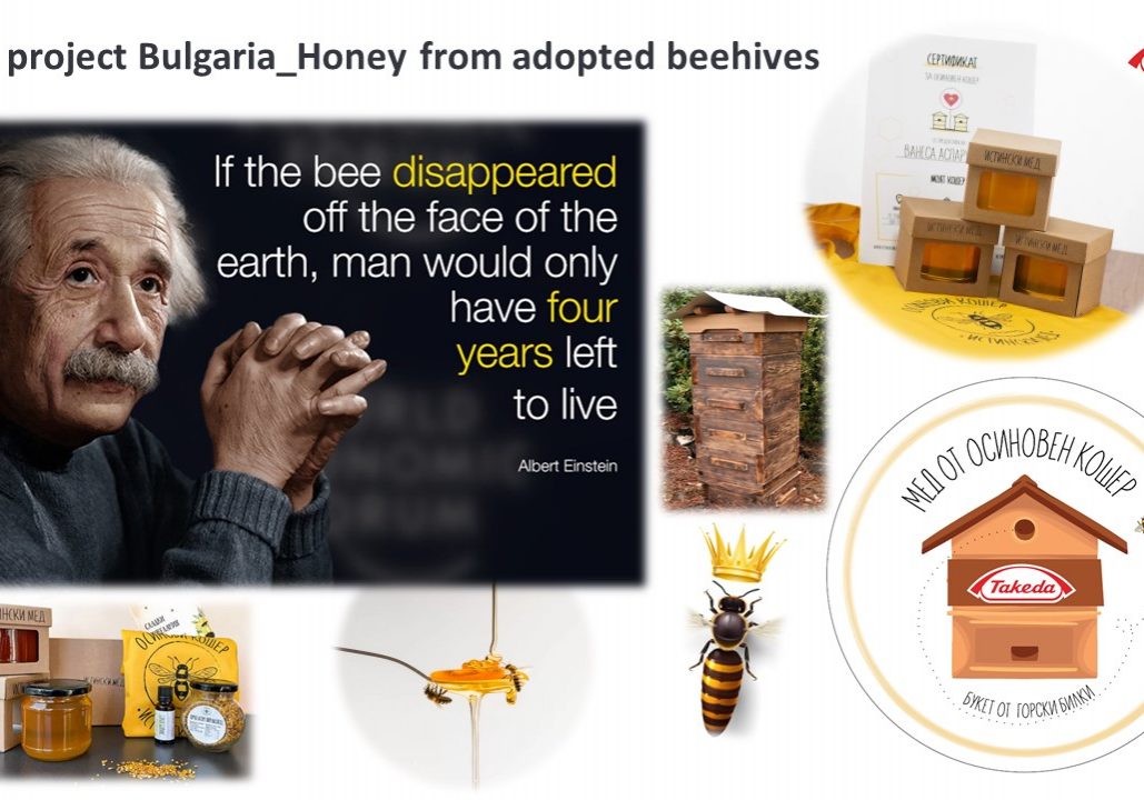 Adopt beehives