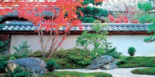 Zen Japanese Gardens November 2021